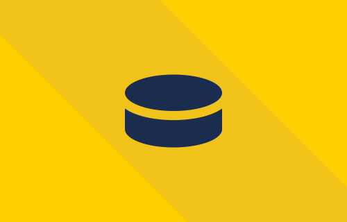 raha_ip_program